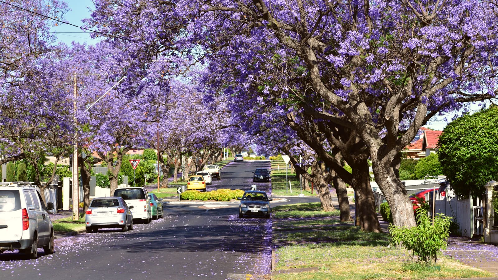A scenic view of the Adelaide city centre near the workshop location